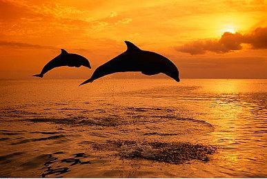 《街头霸王6》达尔西姆火球术攻击更加多变