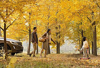 《怪物猎人崛起：曙光》新活动任务 奖励外观装备艾丽西亚