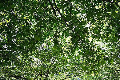 《酿酒大师》发售日预告公布 9月29日上线